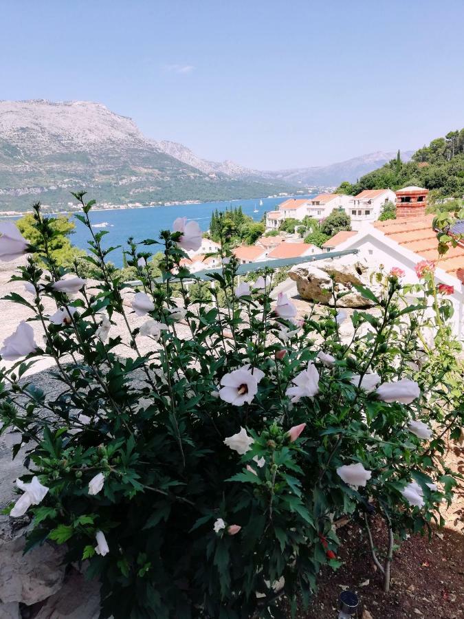 Amore Korcula Town Bagian luar foto